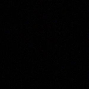 Meet your Posher, Kyra